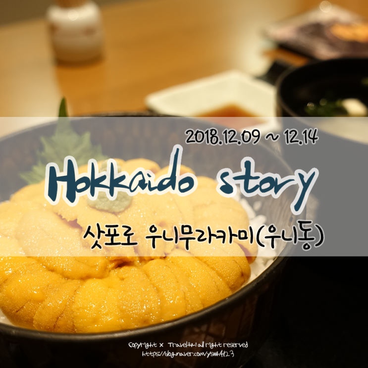 [DAY3 삿포로 맛집] 우니무라카미 ; 인생 우니동(성게알덮밥)을 만나다. : 네이버 블로그