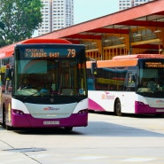 [싱가포르] SBS Transit의 주력 시내버스, 스카니아 K230UB