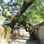 산청여행으로 남사예담촌, 황매산, 목면시배유지 답사