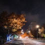 [Photo][스마트폰카메라]LGWing으로 가을을 담다 - ShotonLGWing (서울식물원)
