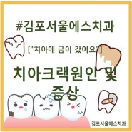 장기동치과,서울에스치과 치아에 금이 갔을때 원인과 증상및 치료