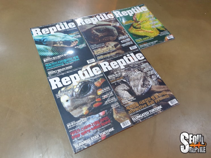 [REPTILE MAGAZINE] 씨밀레북스 렙타일 매거진 VOL.05(2020년 11/12월호) 입고! Practical ...