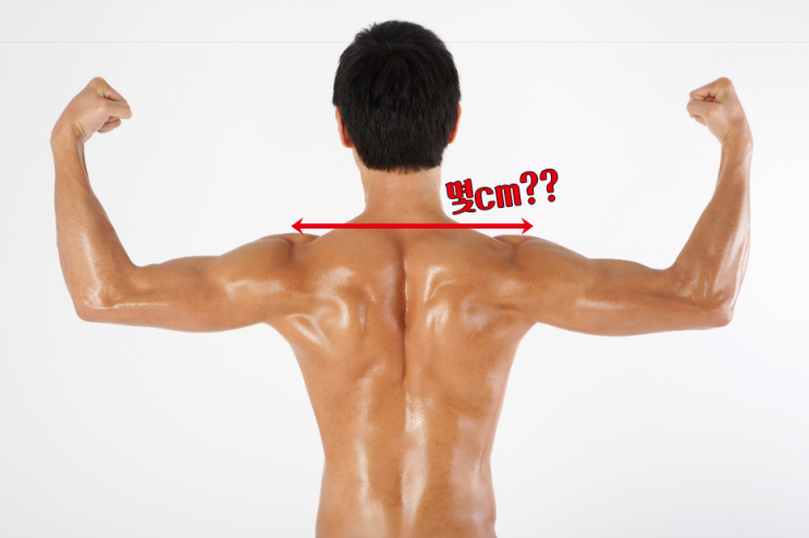 어깨 넓이 재는법, 어깨 깡패인지 1초 만에 확인하자! : 네이버 블로그