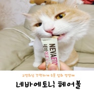 고양이 종합영양제 고양이 츄르 영양제는 <마이펫닥터 네바에토닉>