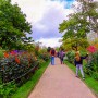 가을꽃 가득한 영국의 정원 산책