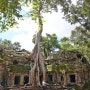 캄보디아 자유여행 7 따프롬 사원 안젤리나졸리의 툼레이더 촬영지