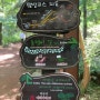 제주도 비자림, 여행 중 걷기 좋은 비자나무숲 탐방