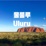 호주 여행 울룰루 Uluru 별이 쏟아지는 숙소