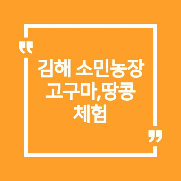 [내돈]김해 소민농장 고구마,땅콩체험+준비물!!