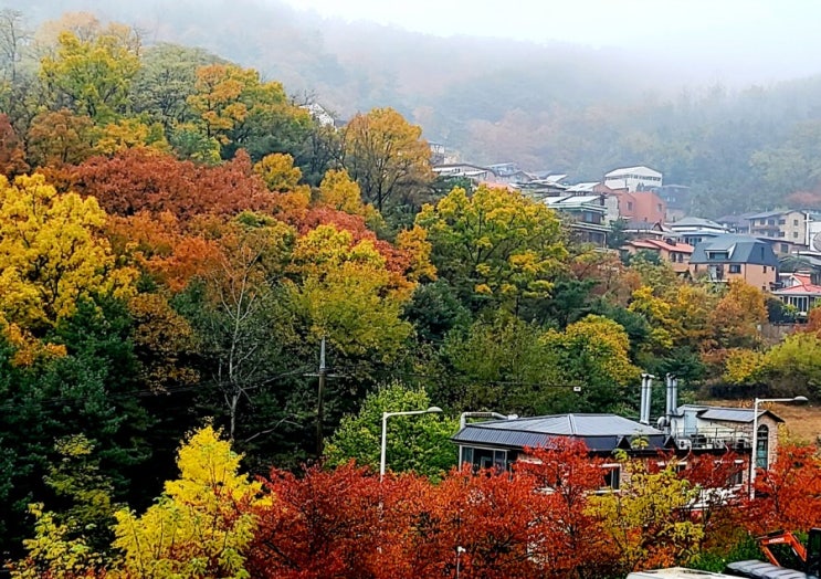 사람이 살아가는 모습 : 네이버 블로그