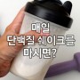 매일 단백질 쉐이크를 마시면?