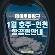 [항공권정보]마이투어링크 1월 호주-인천 확정 항공편 안내