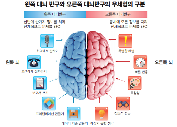 좌뇌 우뇌 기능의 차이점, 나는 어느 쪽일까? : 네이버 블로그