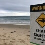 호주 최신 뉴스 - 13세 소년 상어에게 공격당해, 해안가 이용시 주의사항