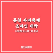 홍천사과축제 온라인개막(2020.11.01~11.15)