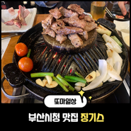 또마 식구들 부산시청맛집 징기스에서 양고기 파티했어요