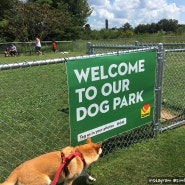 [반려견과여행] 로드트립 꿀팁: 미국 Love's 주유소 강아지공원