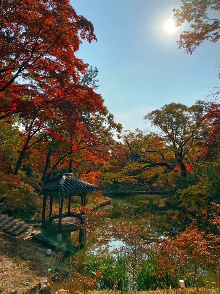 창덕궁 후원 관람 후기 (현장예매) : 네이버 블로그