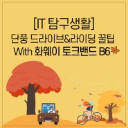 [IT 탐구생활] 화웨이 토크밴드 B6와 함께하는 가을 단풍 드라이브&라이딩 꿀팁
