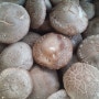 표고버섯재배-표고버섯효능:늦가을 표고버섯