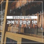 과메기 제철 구룡포 과메기 문화관 에서 만난 과메기 1탄