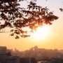 서울 데이트 코스, 가을 한양도성 순성길 동대문 ~ 낙산공원 산책(feat 이화동 벽화마을)