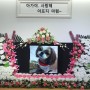 반려동물을 슬기롭게 보내주기위해 대전강아지장례식을 찾으신다면 우바스를 찾아주세요!