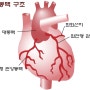 왼쪽 가슴 통증 서서히 병들어가는 심장의 신호