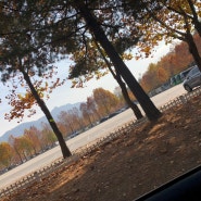 아이들과함께 서울대공원에서 가을을 느끼다
