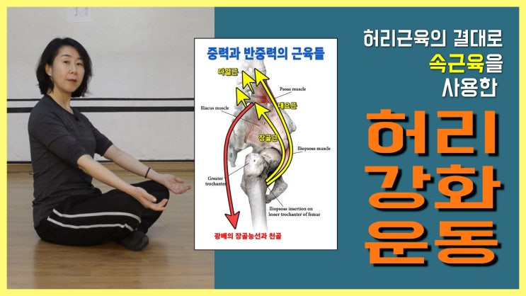 [ 골반 속근육 운동 ] 허리를 강화시키는 장골능선 주변근육 운동 / 겉근육은 누르고 속근육은 들어올리자 : 네이버 블로그