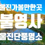 울진가볼만한곳, 울진단풍명소, 조용하지만 이쁜 단풍이 너무너무 멋진 울진 '불영사' 소개합니다!!