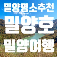 밀양명소추천, 밀양호가 한눈에 내려다 보이는 밀양 '밀양호 전망대' 소개합니다!