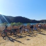 *201108* 여주-강천섬-충주 라이딩 (미니벨로/남한강 자전거길)