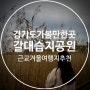 [안산갈대습지공원] 국내 서울 근교 겨울여행지로 추천(경기도 가볼만한 곳)