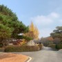 Nov 2020 - 운보의 집, 세종대왕 그린 화가, 청주 데이트, 가볼만한 곳