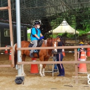 화성 승마장 산들래승마클럽