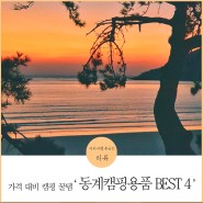 가격 대비 꿀템 '동계캠핑용품 Best 4'
