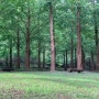 Oct 2020 - 미동산 수목원, 청주 가볼만한 곳, 데이트 추천