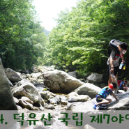덕유산 국립공원 7영지 야영장 지프 실베스터2와 함께 캠핑
