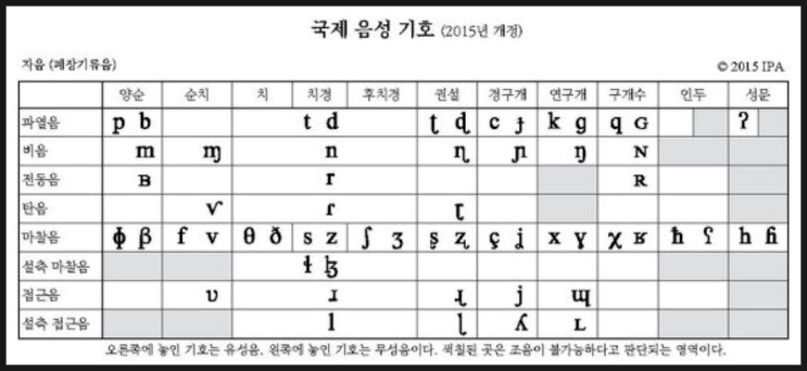 영어학개론-음성학Phonetics:발성 위치/자음과 반모음의 발음&위치/국제음성기호 IPA : 네이버 블로그