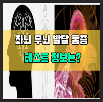좌뇌 우뇌 발달 통증 테스트 기능 간단정리 : 네이버 블로그