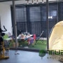 인조잔디 인테리어 - 따뜻한 베란다 만들기 TURF-K