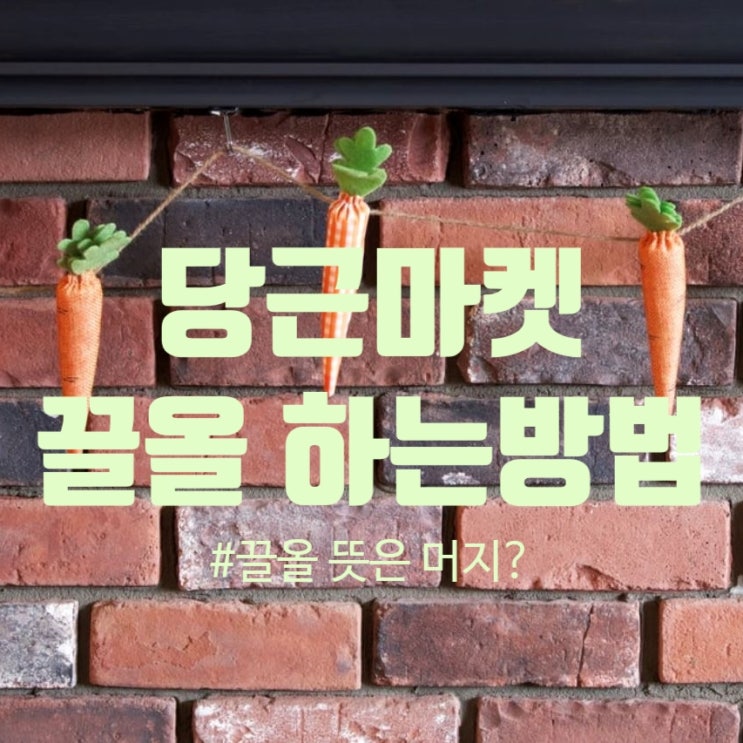 끌올 뜻 알아보기(feat.당근마켓 끌올 하는방법)
