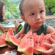 비슬산계곡/대구근교/재방문/190817