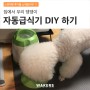 [스위치봇 후기 11] 집에서 강아지 자동급식기 DIY 하기
