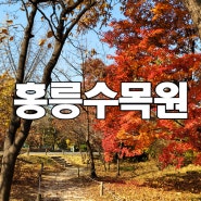 서울 산책 홍릉수목원(국립산림과학원) 탐방기
