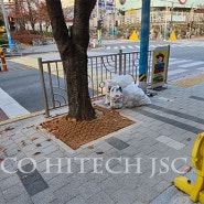 부산 가로수를 따뜻하게 해주는 코코하이텍의 수목보호매트