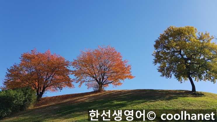 조동사 must have p.p, cannot have p.p could have p.p 과거분사 개념·용법, 송파구 방이동 ...