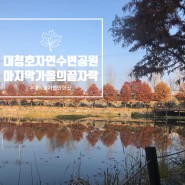 대청호반자연생태공원, 대전 근교 나들이코스로 딱!
