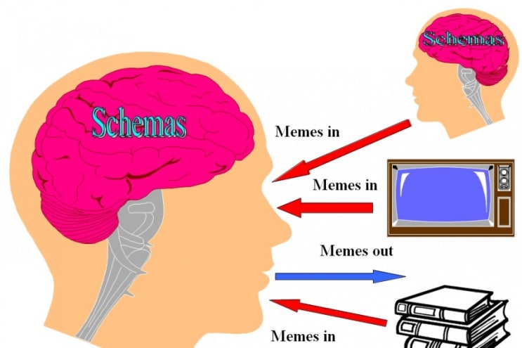 schema : 네이버 블로그